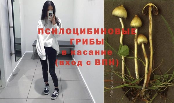 трава Медвежьегорск