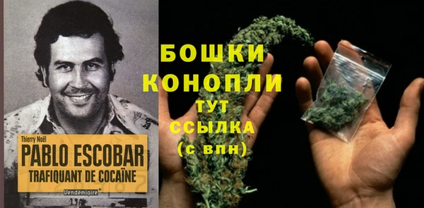 тгк Михайлов