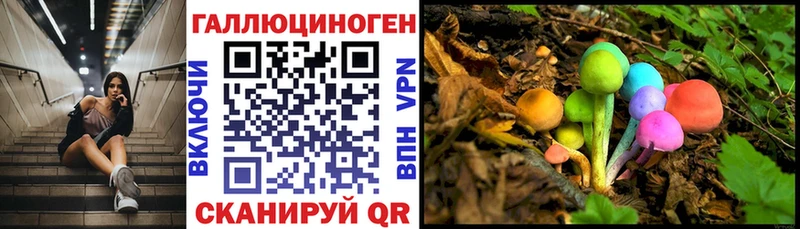 Псилоцибиновые грибы GOLDEN TEACHER  Купить где  Шуя 