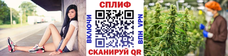 Купить закладки  Шуя  МАРИХУАНА THC 21% 